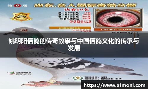 姚明阳信鸽的传奇故事与中国信鸽文化的传承与发展